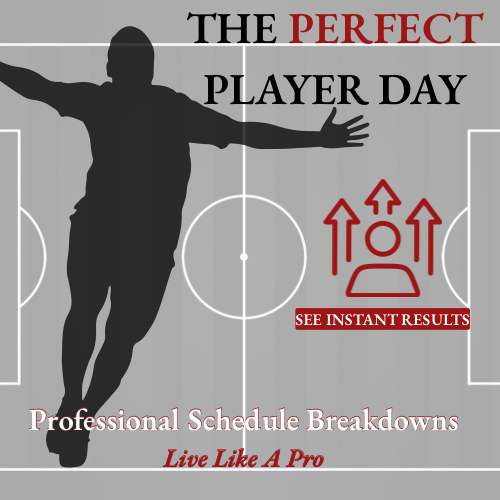The PERFECT Player Day